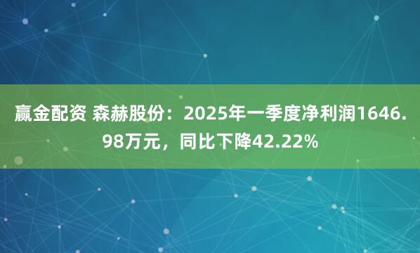 赢金配资 森赫股份：2025年一季度净利润1646.98万元，同比下降42.22%