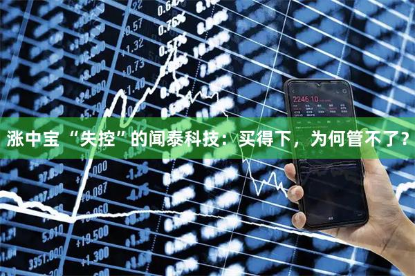 涨中宝 “失控”的闻泰科技：买得下，为何管不了？