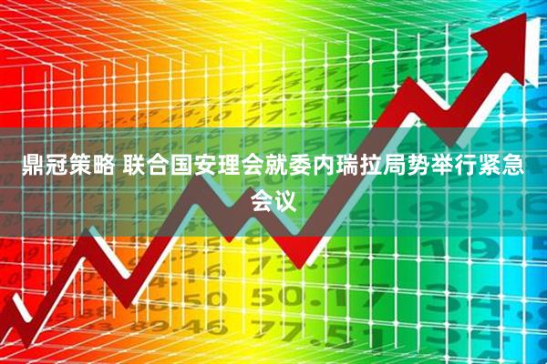 鼎冠策略 联合国安理会就委内瑞拉局势举行紧急会议
