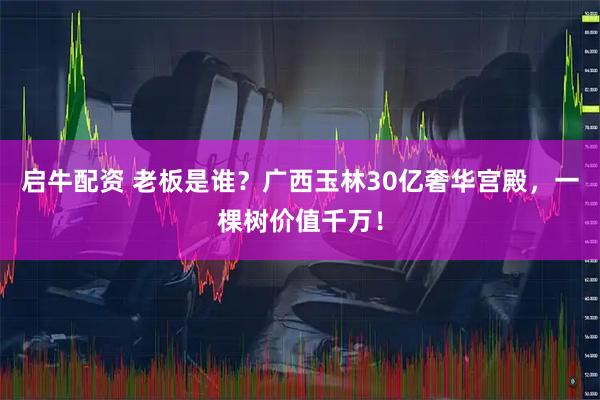 启牛配资 老板是谁？广西玉林30亿奢华宫殿，一棵树价值千万！