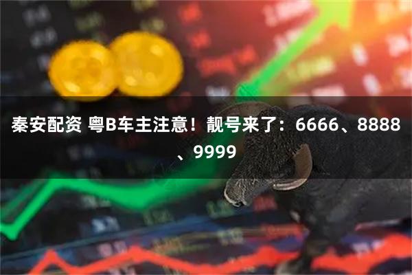秦安配资 粤B车主注意！靓号来了：6666、8888、9999
