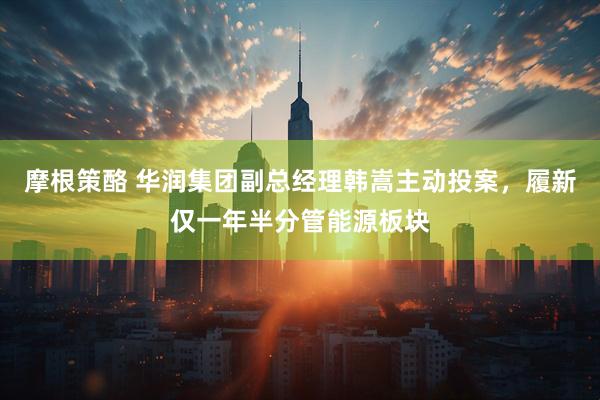 摩根策酪 华润集团副总经理韩嵩主动投案，履新仅一年半分管能源板块