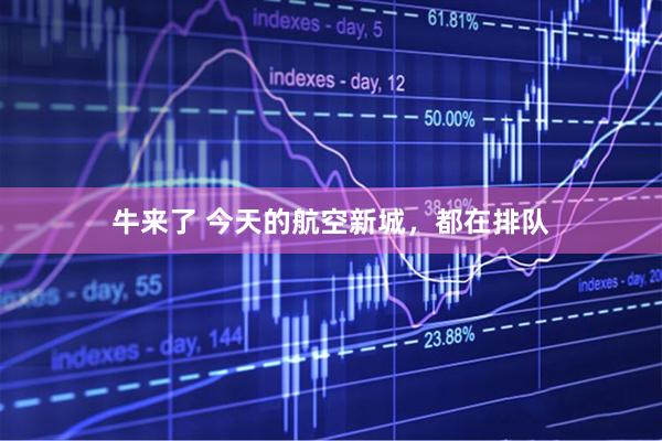 牛来了 今天的航空新城，都在排队