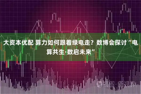大资本优配 算力如何跟着绿电走?数博会探讨“电算共生·数启未来”
